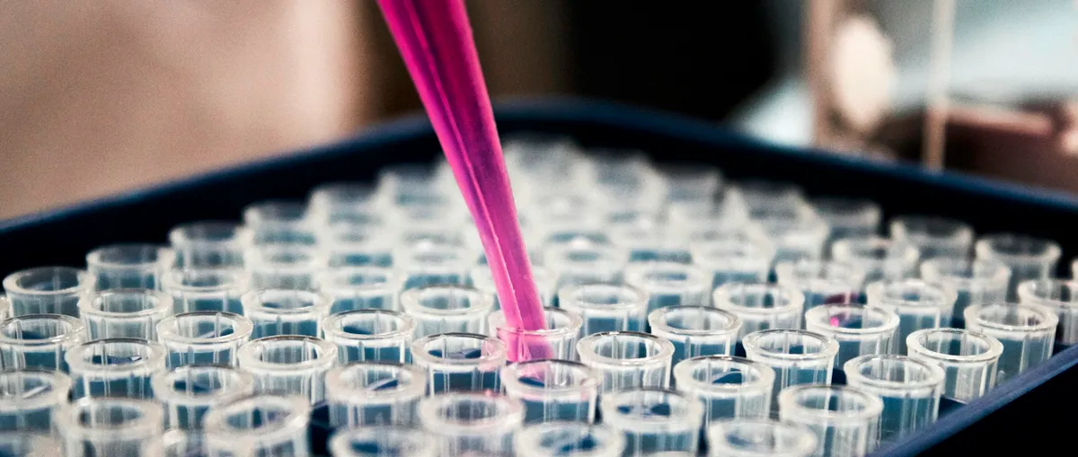 Integração vertical no setor de saúde e efeitos concorrenciais: eficiências vs. Concentrações de mercado